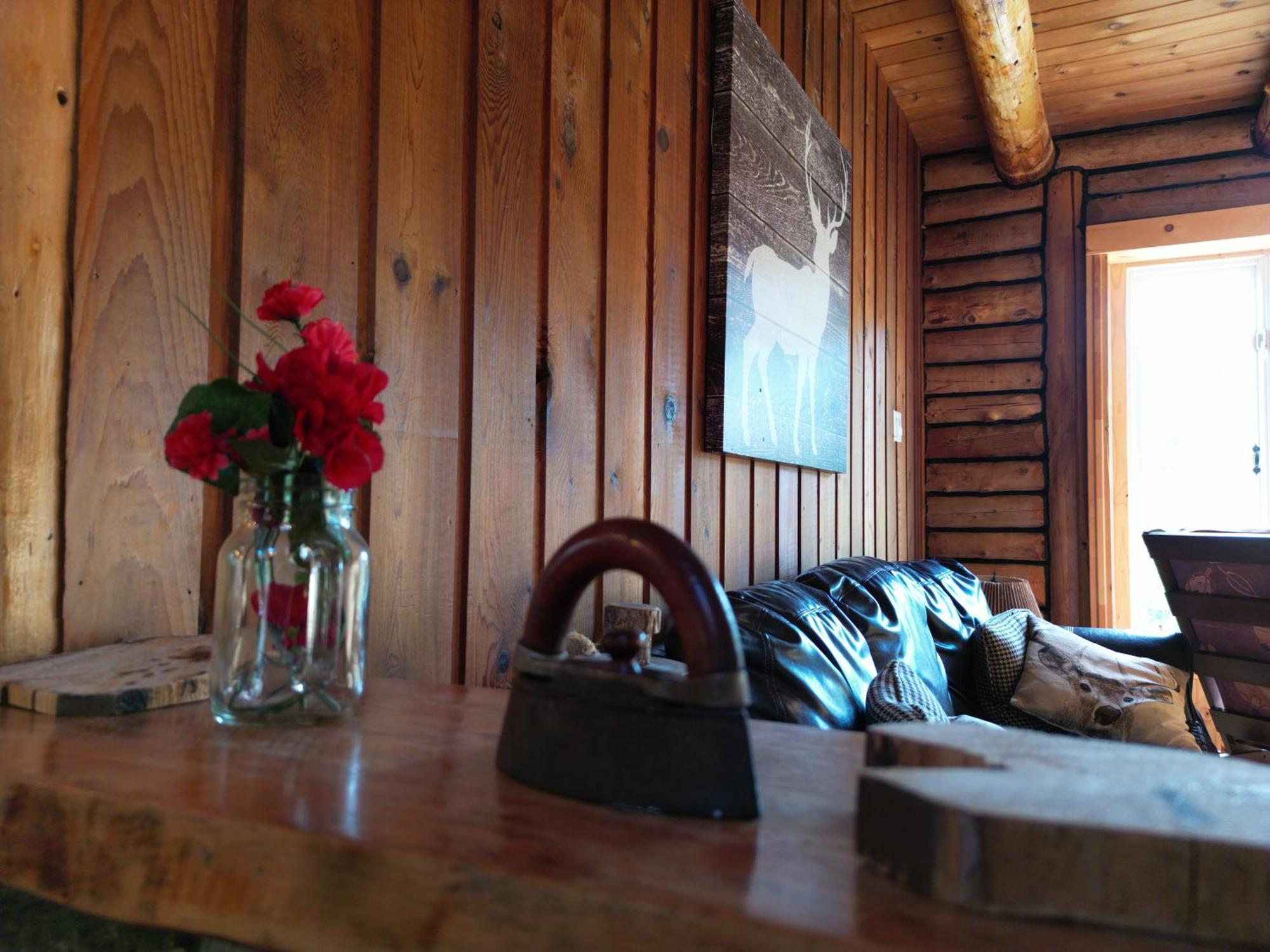 Cozy Log Cottage La Minerve Eksteriør billede